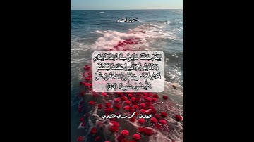 سورة النساء ٣٣ #قرآن #قرآن_كريم #قران #قران_كريم #قرأن #quran