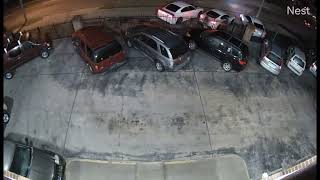 PPD Traffic Clip New Year's Eve 2