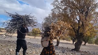 Collecting firewood by Elham and Abbas and living the daily life of Sadaq with the second wife