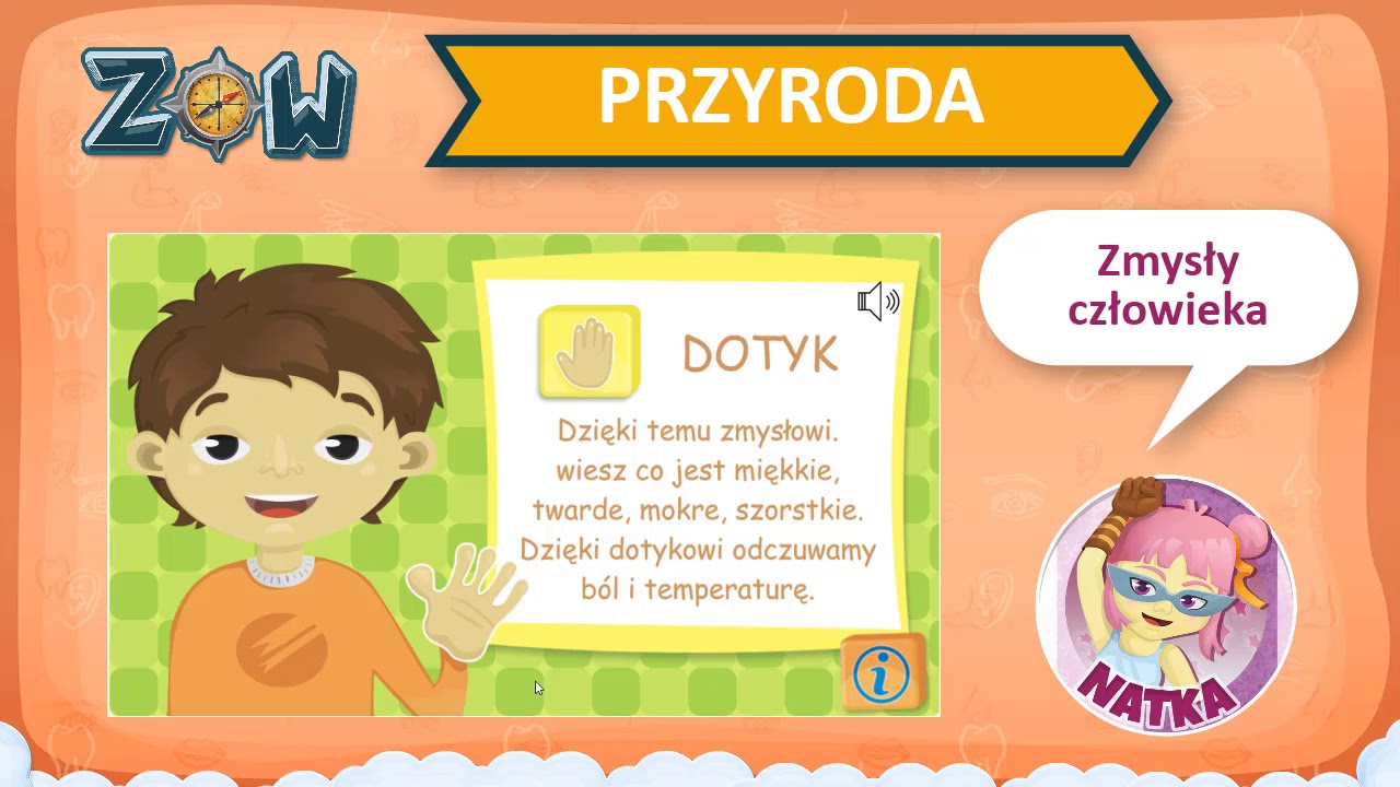 Puls Zycia 2 Narzady Zmyslow Sprawdzian Grupa A Narządy zmysłów, zmysły i ich funkcje - YouTube