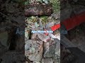 Água Marinha Bruta