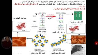 دروس علوم الطبيعة و الحياة العرض 1من وحدة  العلاقة بين بنية البروتين ووظيفته وضعية انطلاق للوحدة