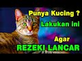 Jika Anda Punya Kucing, Coba Lakukan ini Agar Rezeki Anda Bertambah