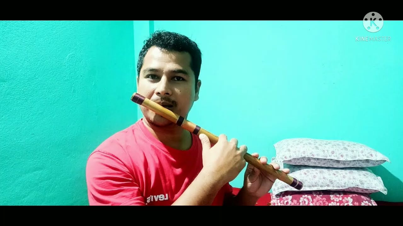 Hum Tumse Na Kuch Keh Paye song /flute cover/Ziddi movie