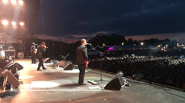 The Specials - A Message to You Rudy and Too Much Too Young : Live at Isle of Wight Festvial 2014