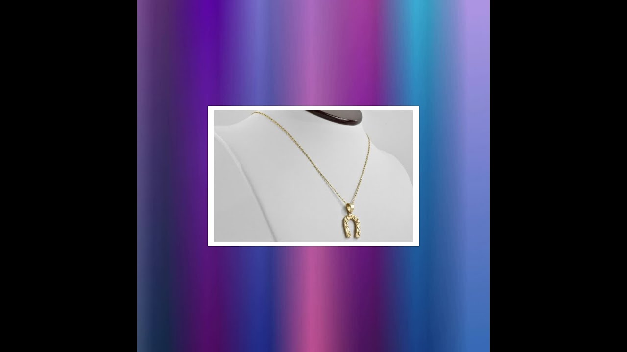 9ct Gold 22x20mm Horse Head in Horseshoe with belcher Chain 18 inches Fruugo IN