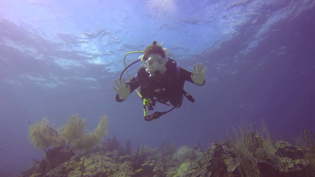 Bahamas Dive Trip YouTube