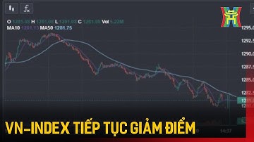VN-Index tiếp tục giảm điểm | Tin tức