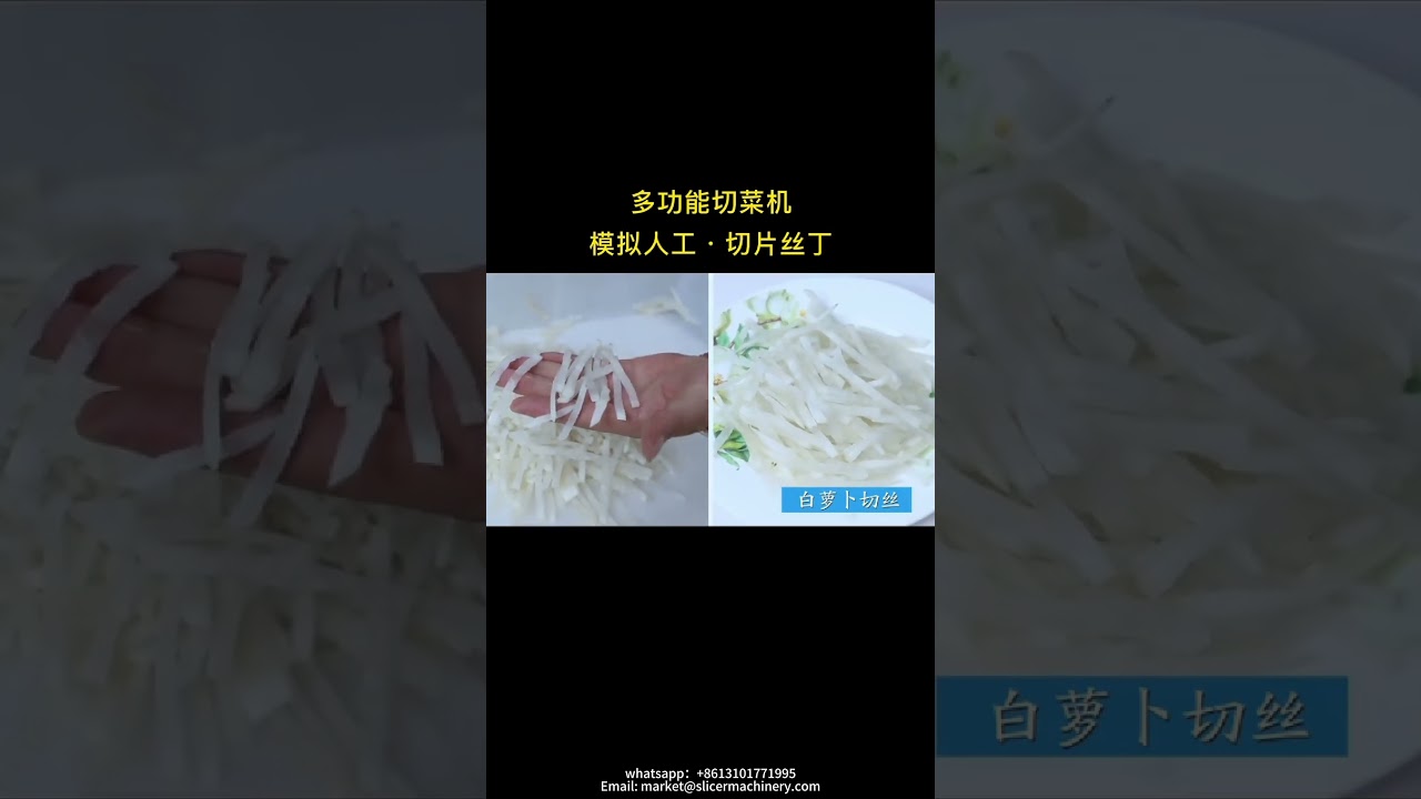 All in One Commercial Vegetable Slicing & Dicing Machine