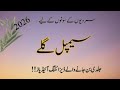 سردیوں کے سوتوں کے لیے نئے سیمپل گلے 2026 | Latest Winter Neck Designs for Ladies