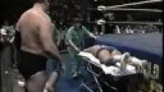 Sid Vicious and Stan "The Lariat" Hansen tag team