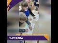 Обзор 360_Выставка