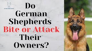 Do German Shepherds Bite or Attack Their Owners? by Anything German Shepherd 843 views 4 months ago 1 minute