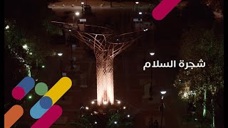 الطبيعة الخلَّابة في شجرة السلام 🌳