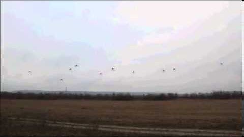 VIDEO  Autonomous drones can fly in formation like birds   Mail Online