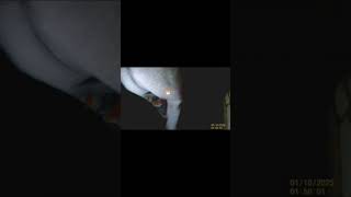 Фулл будет на моем рутуб канале https://rutube.ru/channel/39067281/ ТГК https://t.me/worldgamers12
