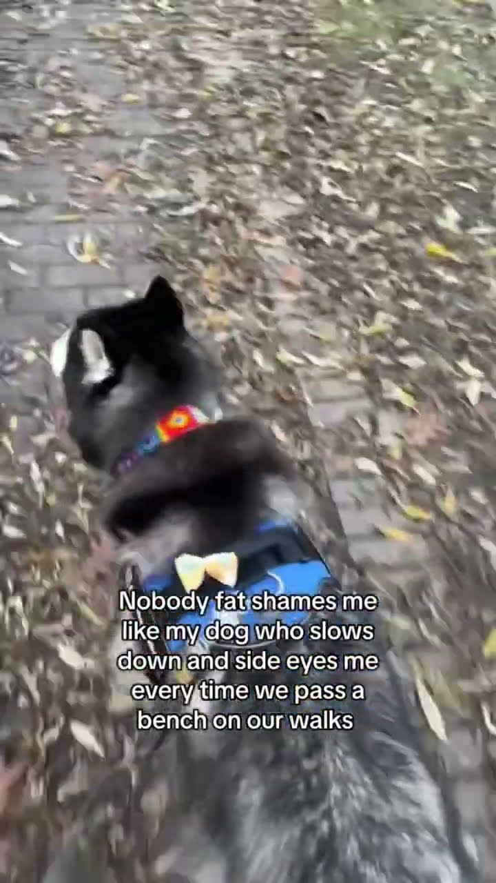 Doggyo like you need to play more prvnci you big
