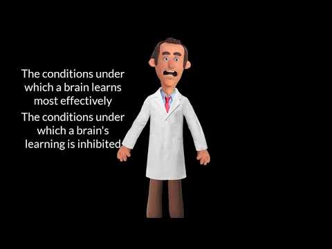 Brain-Based Learning Theory Explanation