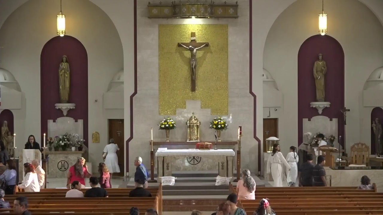 Fiesta de la Dedicacion de la Basilica de Letrán con el Padre Christy Yesudass, MSC (11.09.2025)