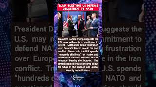 Famous Trump Signals Possible Shift on Defending NATO Allies Net Worth