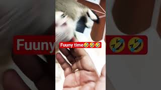 Fuuny Ke Sath Maste Akil Vlog