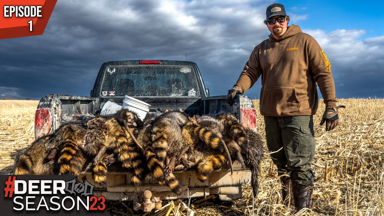 Tips On Trapping Nest Predators, Spot And Stalking Giant Mule Deer