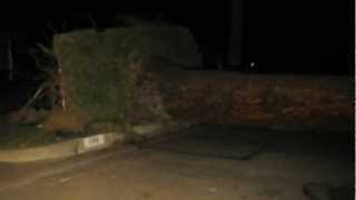 Pasadena Wind Storm just after 2 huge pine trees came down on our house.