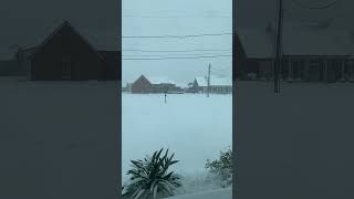 Thibodaux Louisiana Jan 2025