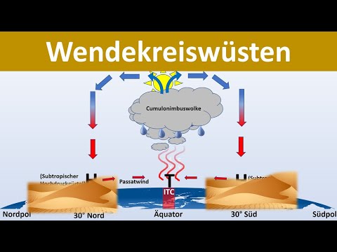 Video: Wüsten der Welt und ihre Besonderheiten