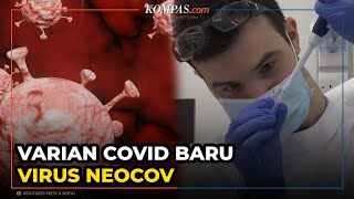 Belum Reda Momok Virus Corona, Ada Lagi Virus yang Lebih Mematikan dari Virus Corona