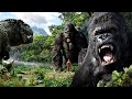 King Kong&#39;s Best Scenes