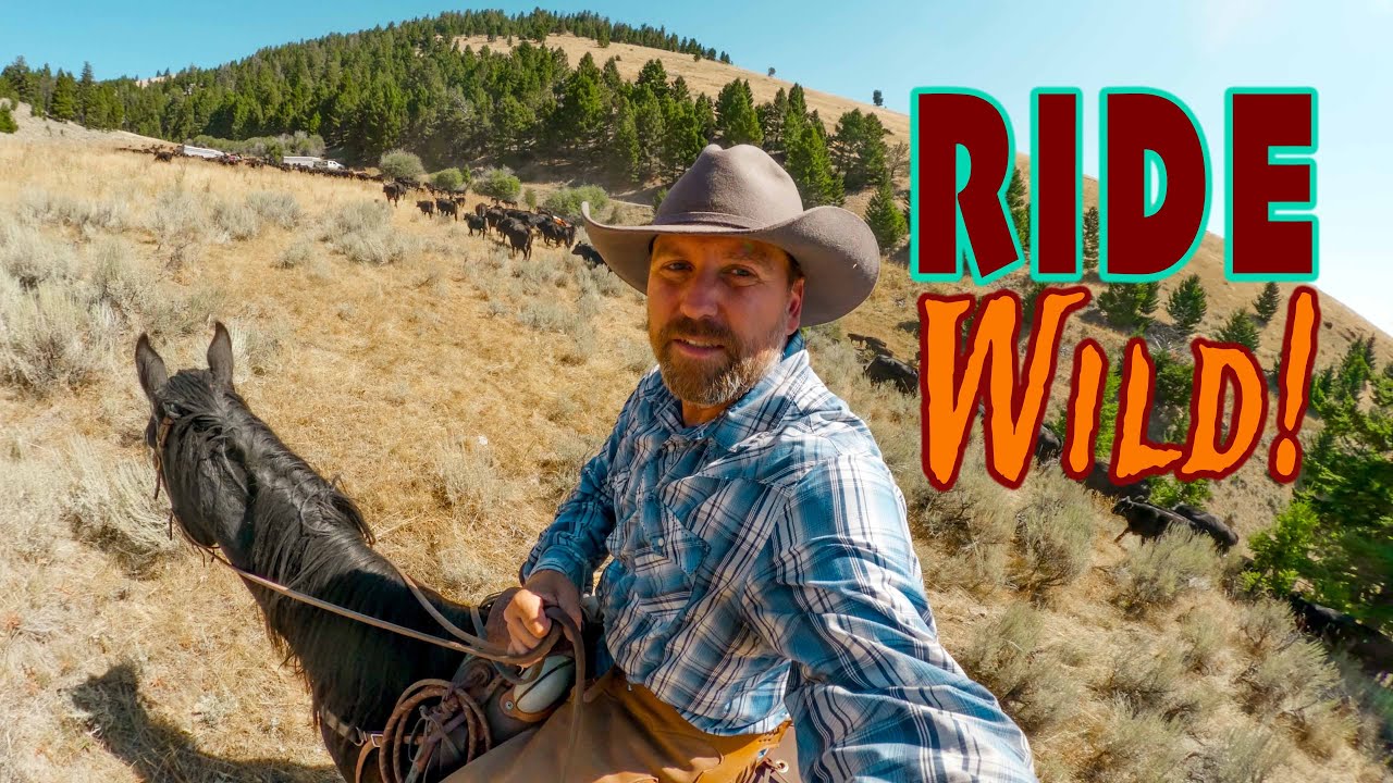INSANE Cowboy Life! DANGEROUS Cattle Drive in Wild Mountains!
