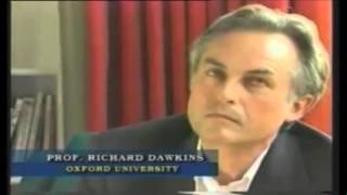 Faydalı Mutasiya Yoxdur. Richard Dawkinsin Çətin Anları