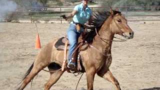 Kenda Lenseigne And Cash Mounted Shooting Horse In Training