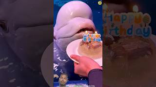 #shorts #factsinhindi #ocean #animals #asthetic #funnyexpression #instareels #whatsapp_status