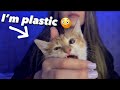 Asmr tapping on plastic kitty in 1 minute 