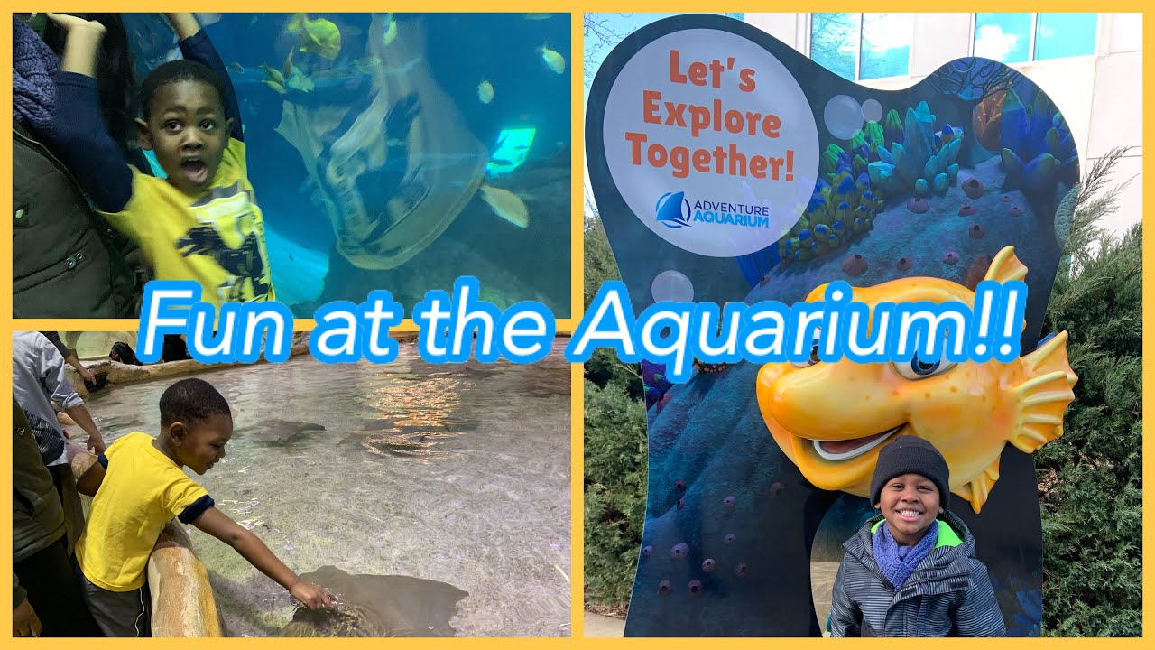 Adventure Aquarium Camden, NJ - MaxresDefault