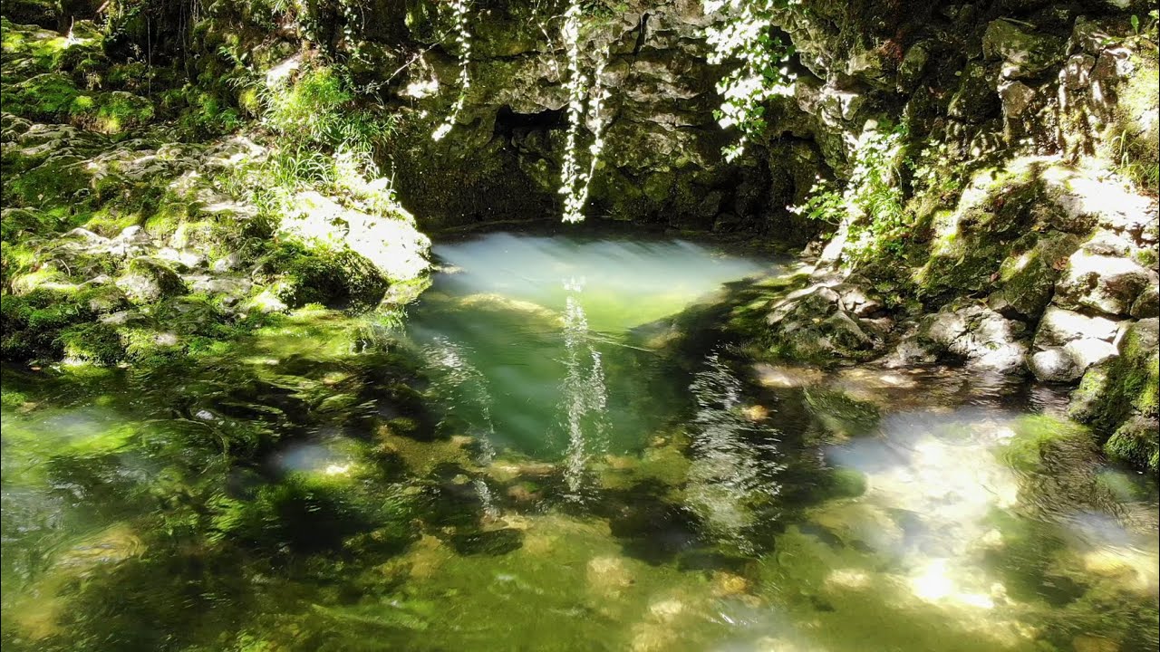 La Venoge / court-métrage (4K)