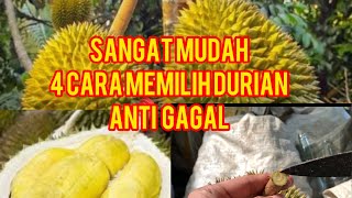 Trik baru ...! Cara memilih durian yang kuning tebal dan manis legit