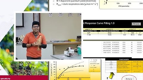 Data Extraction, Analysis & Interpretation