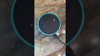 Alexa’s getting political!!!