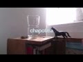 chapotea:paddle
