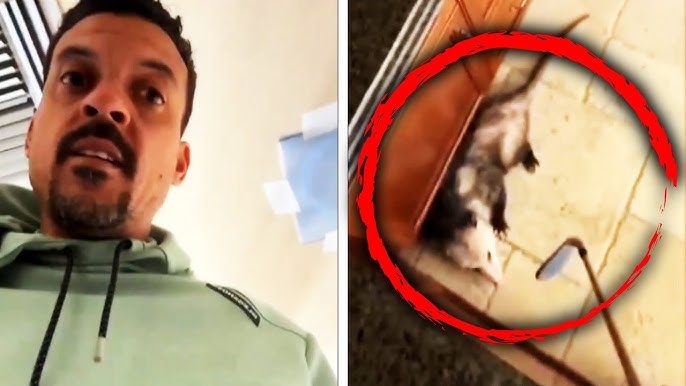 Ex Nba Star Matt Barnes Battles Opossum In His Kitchen
