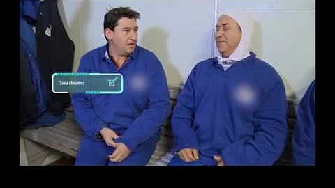 O que é pausa psicofisiológica?