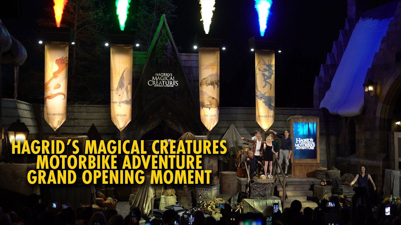 Review Hagrid S Magical Creatures Motorbike Adventure