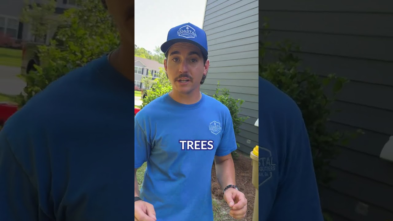 ⚠️ Warning Signs Your Gutters Are Failing!