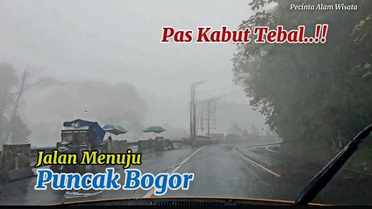 JALAN MENUJU PUNCAK BOGOR || Kabut Tebal Banget  Maret 2025