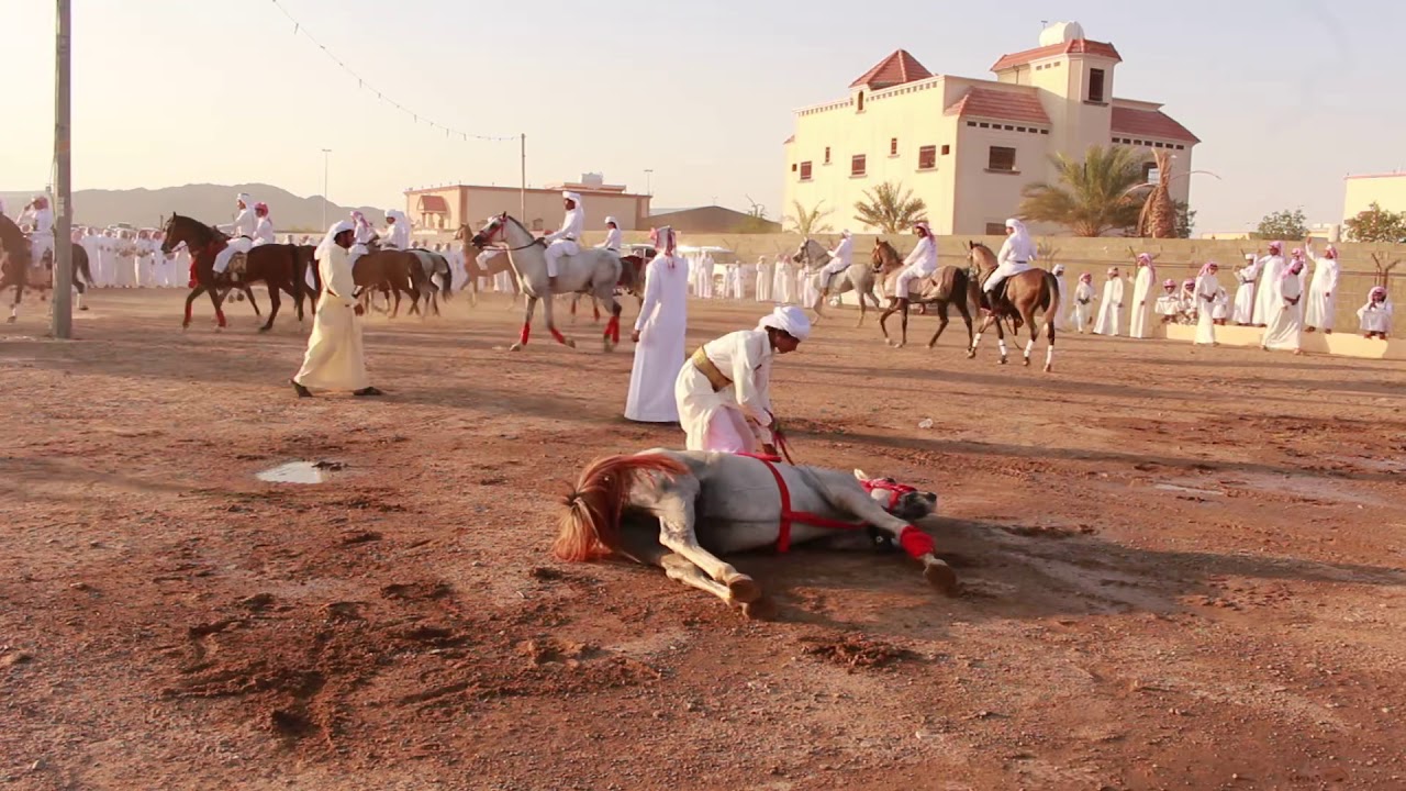 حفل المرقاب نجران لعيد الفطر ١٤٤٠هـ