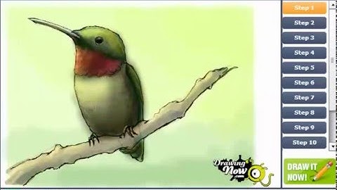 How To Draw A Ruby Throated Hummingbird