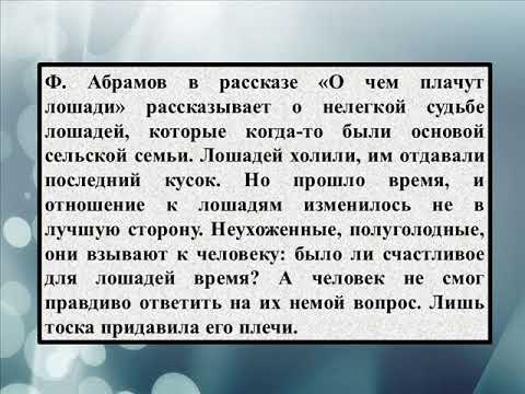 Сочинение на тему «Нужны ли в жизни сочувствие и сострадание